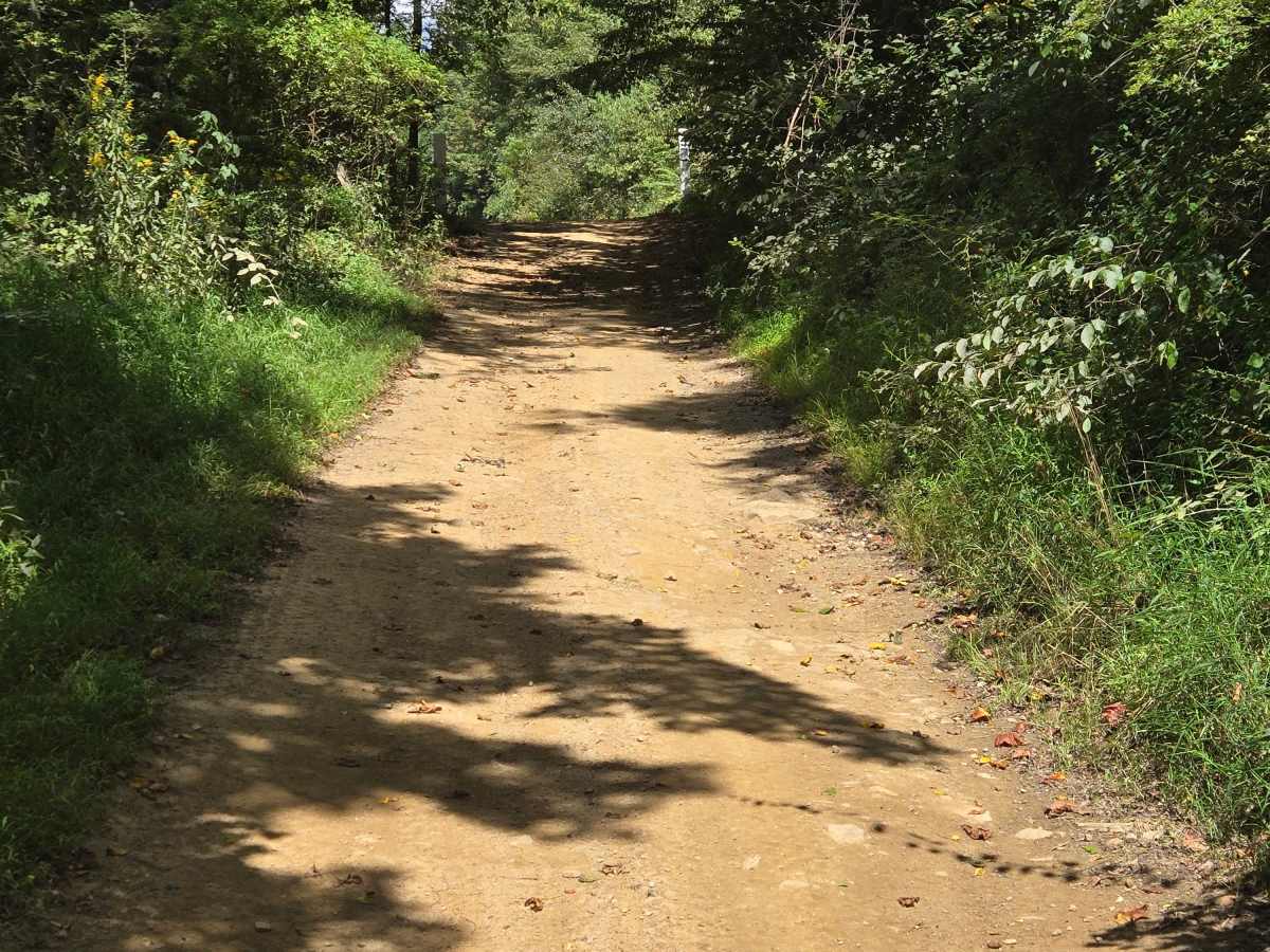 Trail 7 photo 5