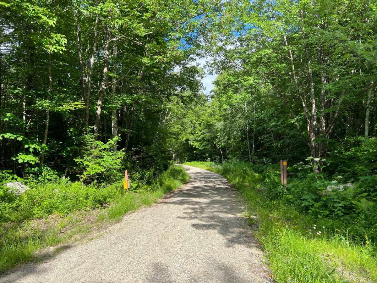Mill Brook photo 3