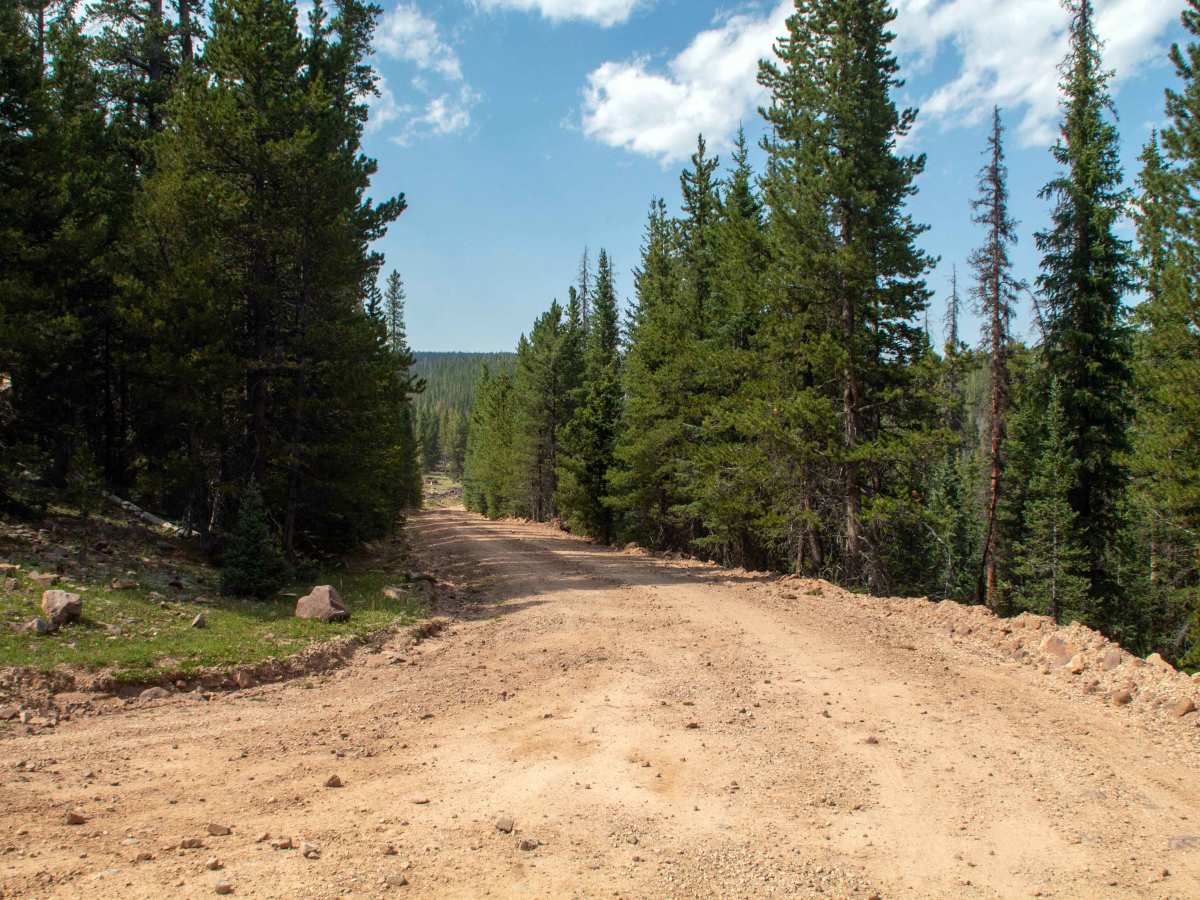 Ashley Twin Lakes Loop - FS 10027 photo 4