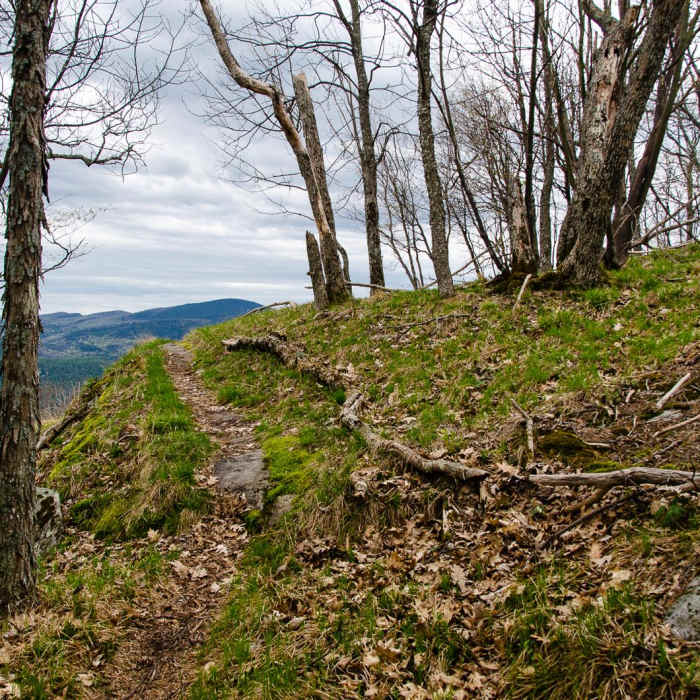 Near Tongue Mountain Range