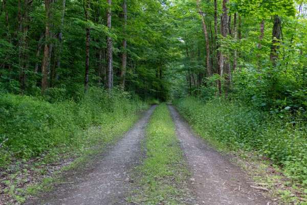 Truck Trail 3