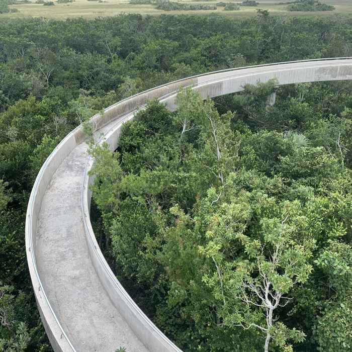 Shark Valley Observation Tower Near Tram Trail