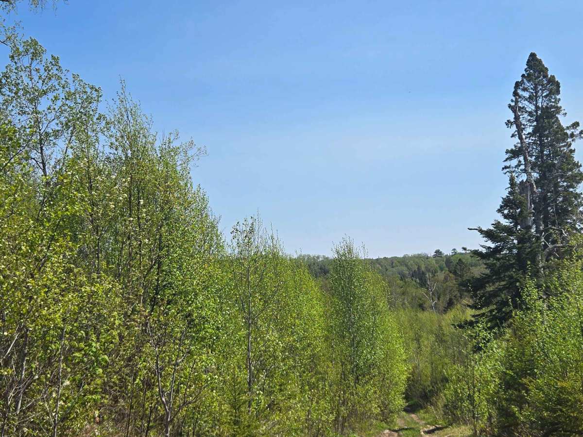 Lost Lake Spur photo 3