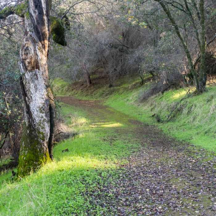 Near Heron Point Loop Hike