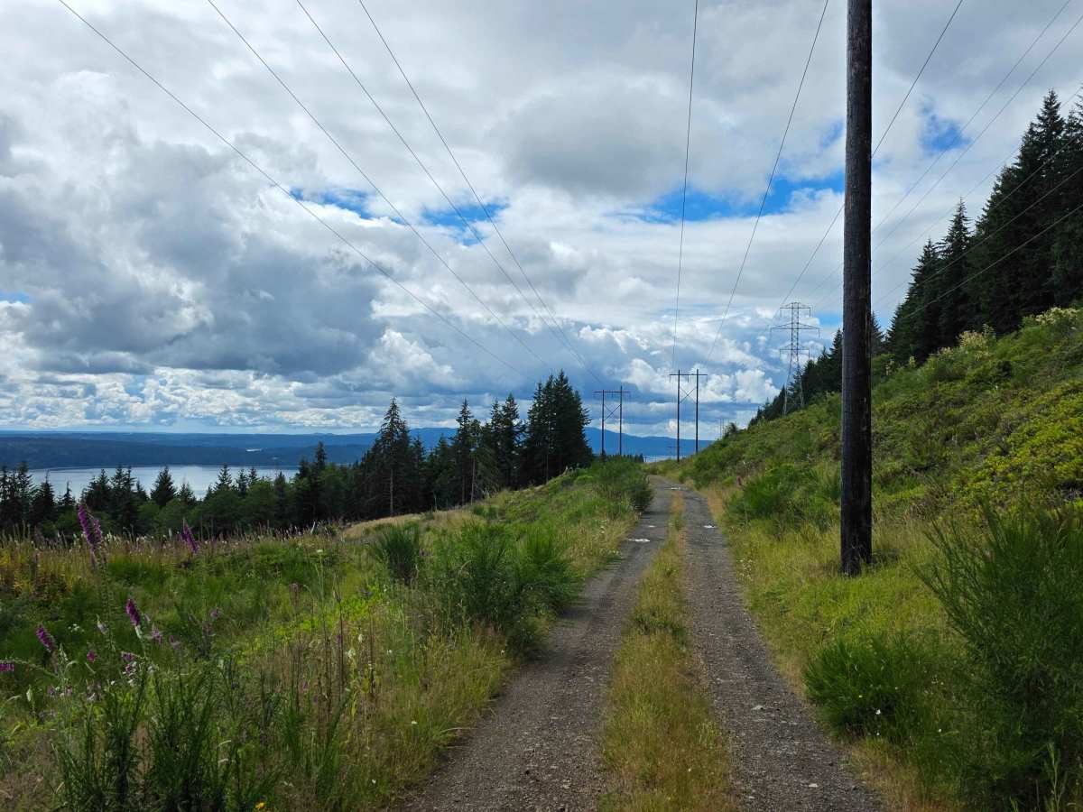 Spencer Creek photo 5
