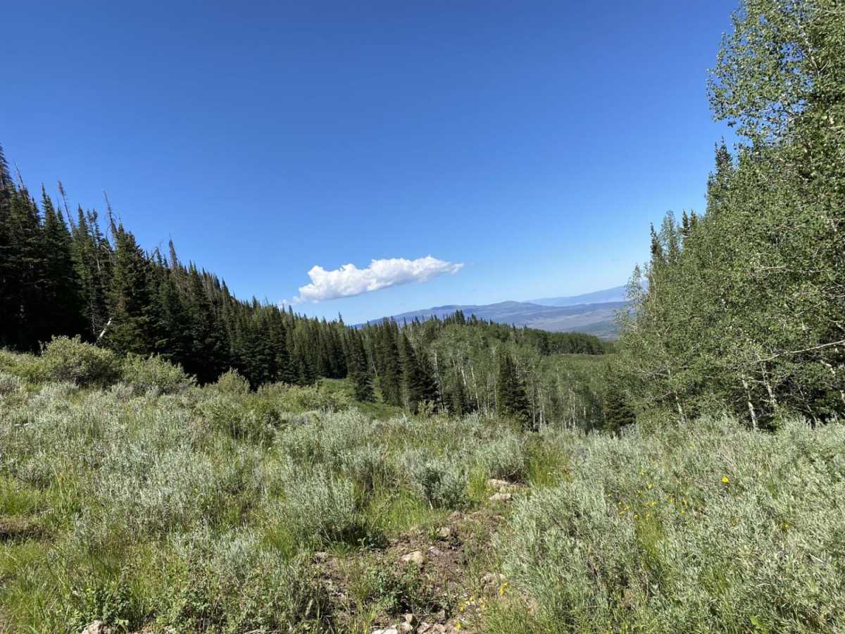 Gates Lake Road photo 2