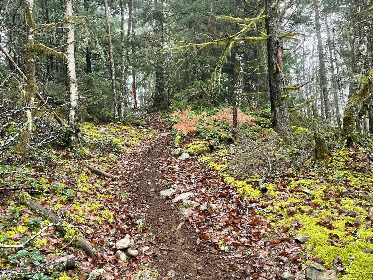 Final Stretch Hill trail photo