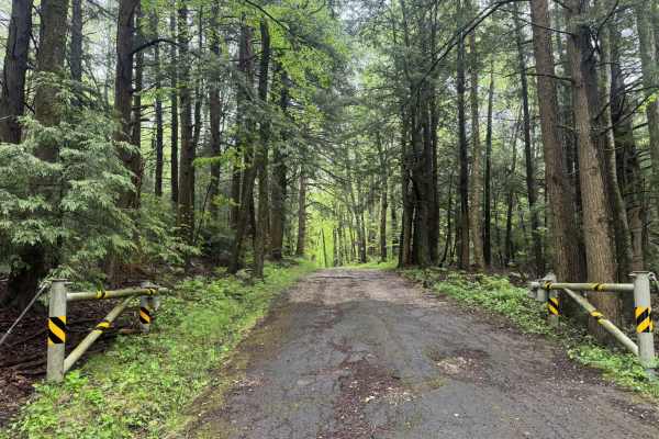 Beartown Mountain Road