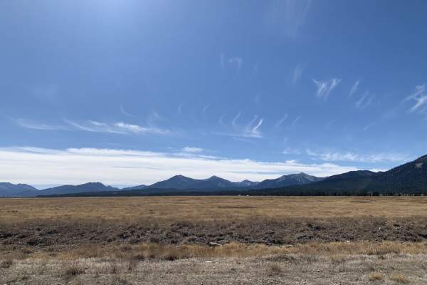 Pettit Lake and Dreamy Day Use Area