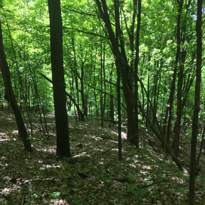 Near Richard T. Anderson Perimeter Loop