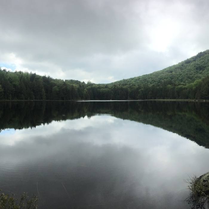 Near Peaked Hill Pond