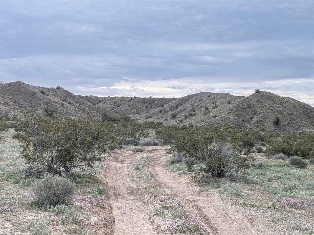 EC1238 Loop photo 6
