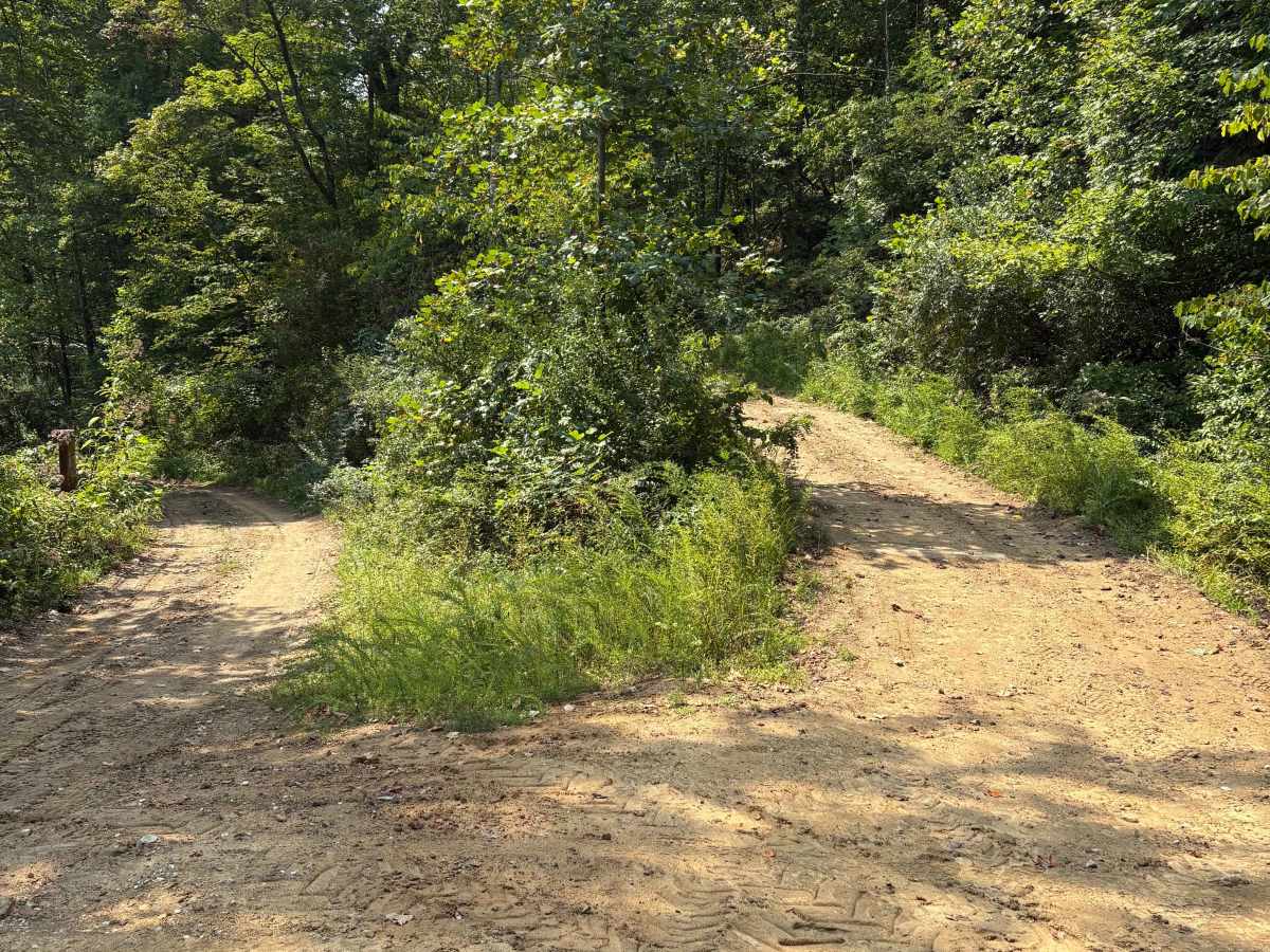 Trail 1 photo 2