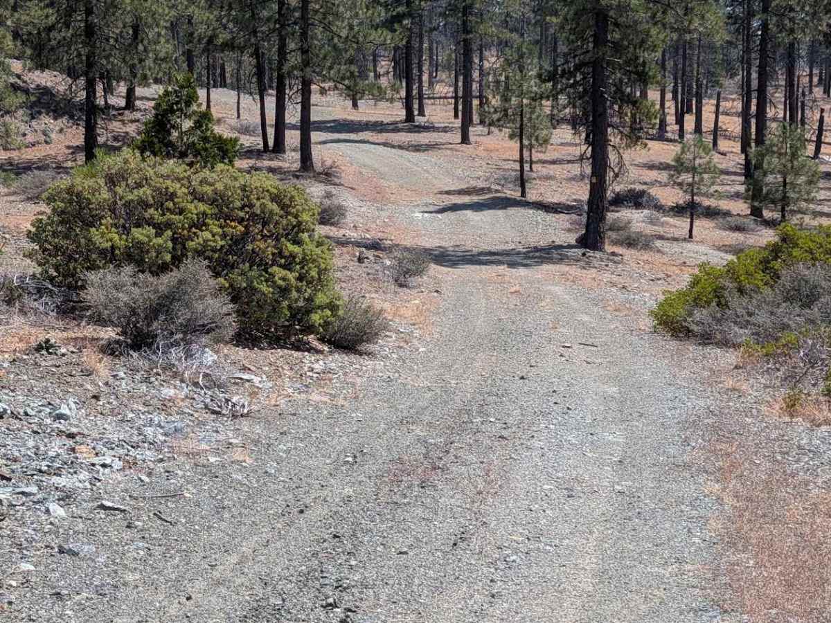Seven Up Cedars Road - FS 29N59 photo 4