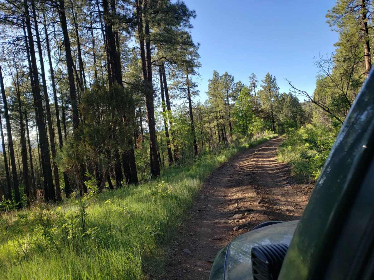 Dorsey Spring Trailhead photo 3