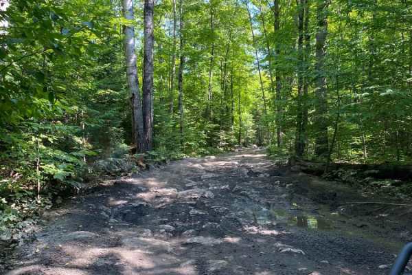 Conners Hole/Log Jam