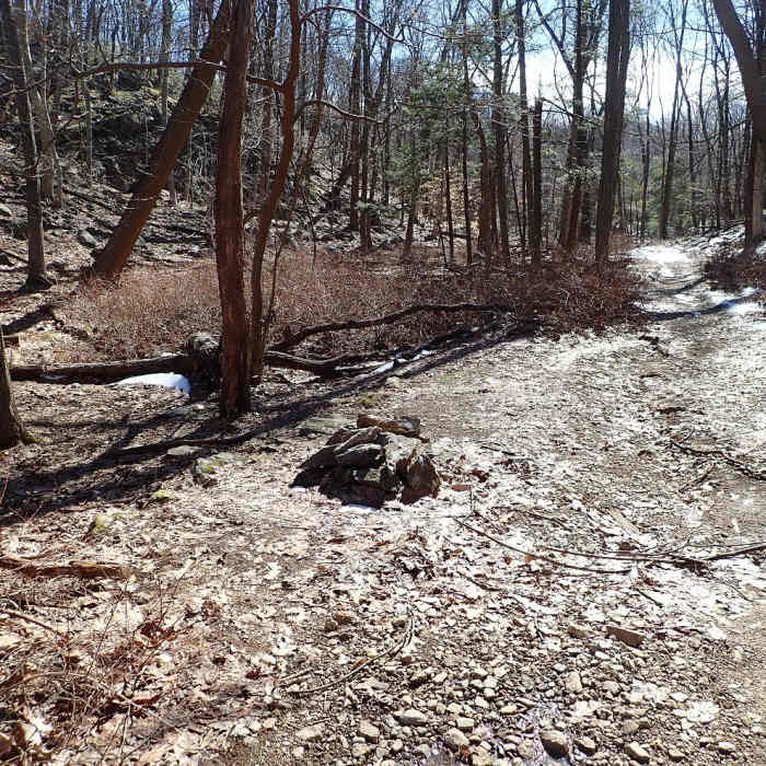 Near West Mountain Loop