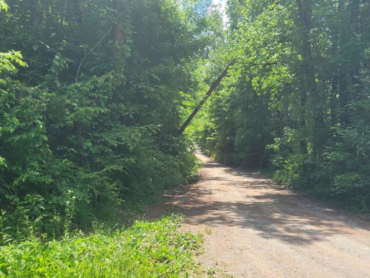 Ladd Springs Road (221) trail photo