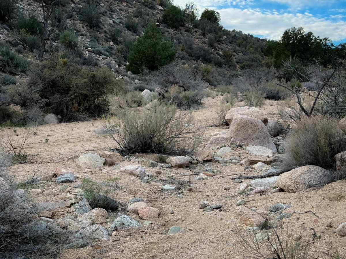 H1445 trail photo