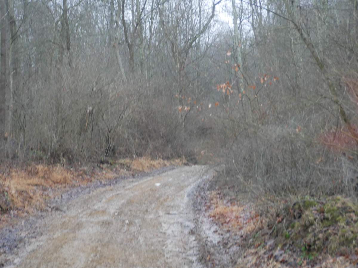 Trail 9 photo 2