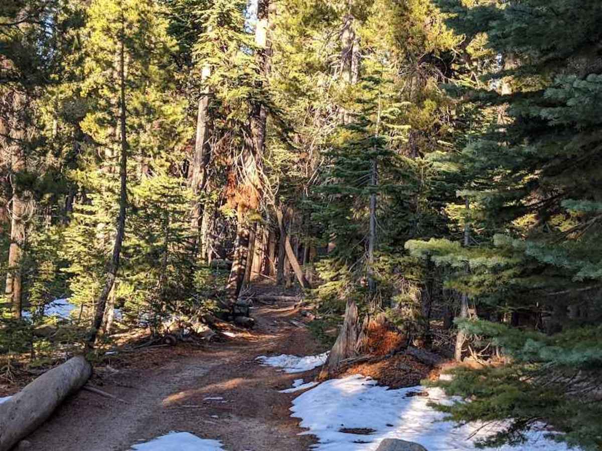 Deer Valley - Part 2 trail photo