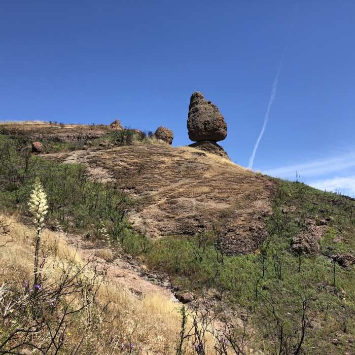 Near Mishe Mokwa Trail