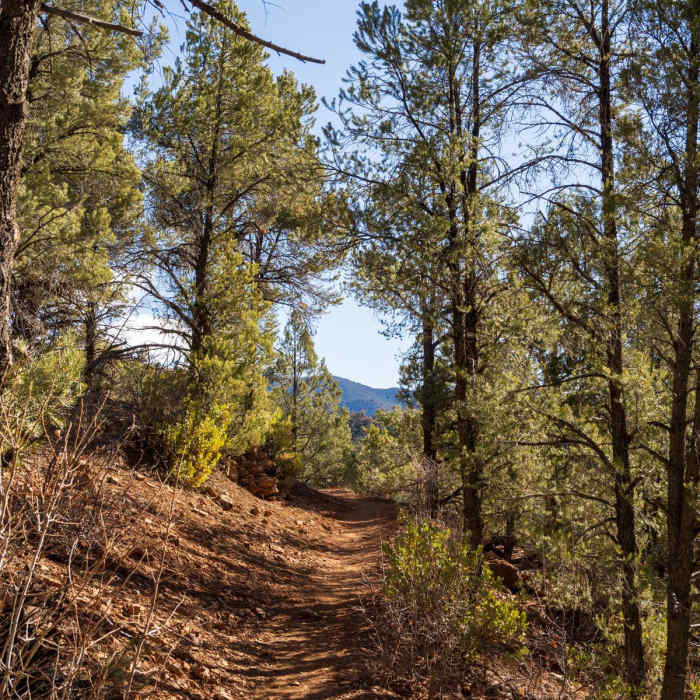 Near Lovell Canyon Trail