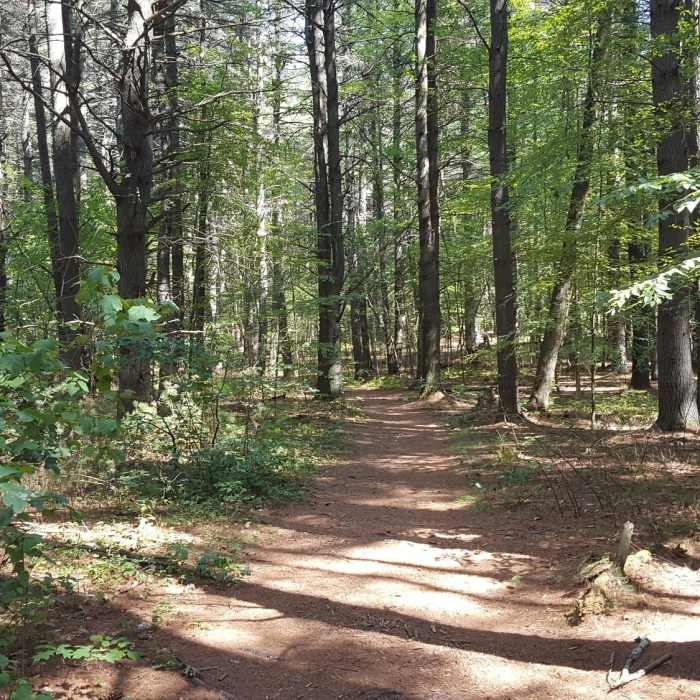 Near Eight Mile Tour