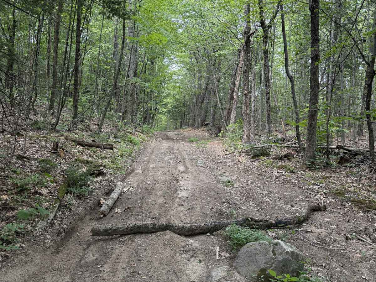 Page Trace Road photo 4