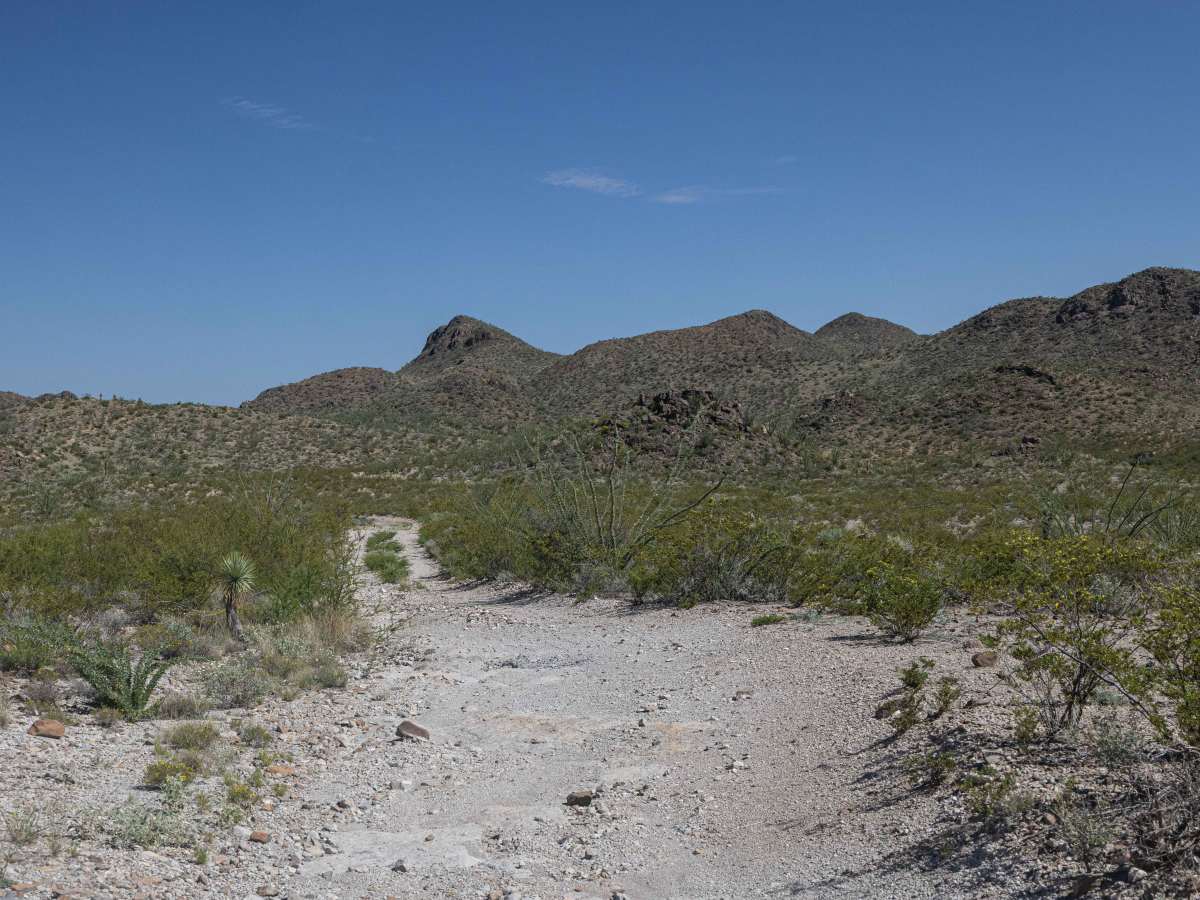 BBRSP - Oso Loop photo 2
