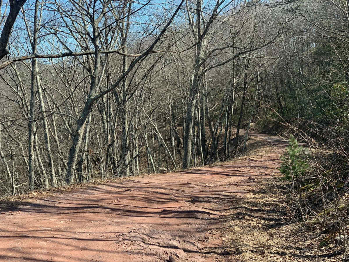 Reddish Knob photo 5