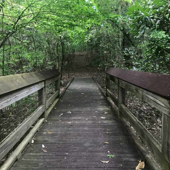 Backbone Ridge Trail Near Louisiana Arboretum Tour