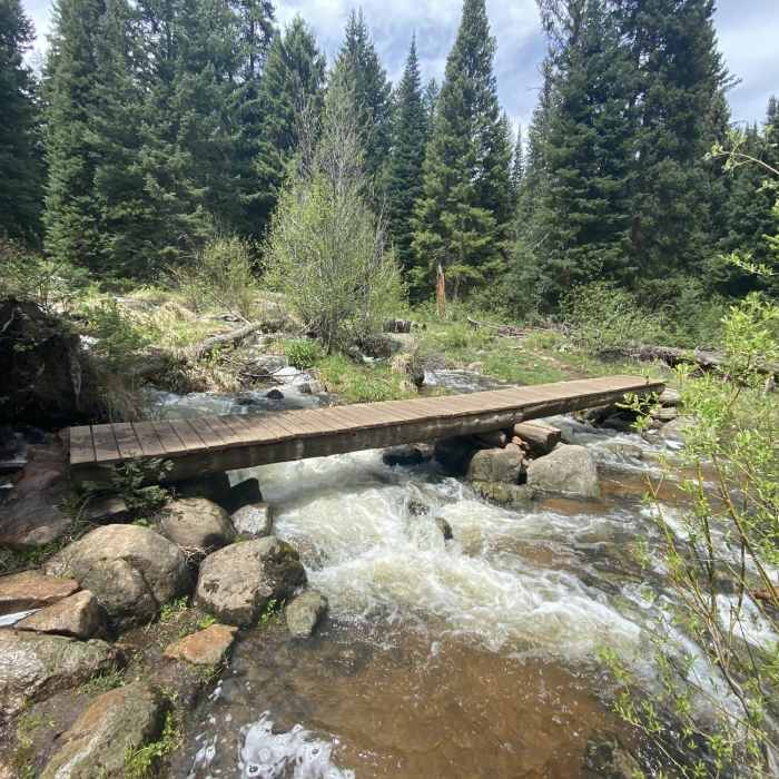 Crossing Grouse Creek Near Grouse Lake Trail #2127