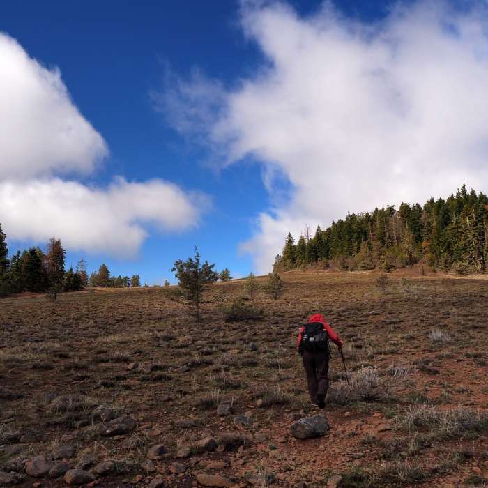 Near Lone Pilot Trail