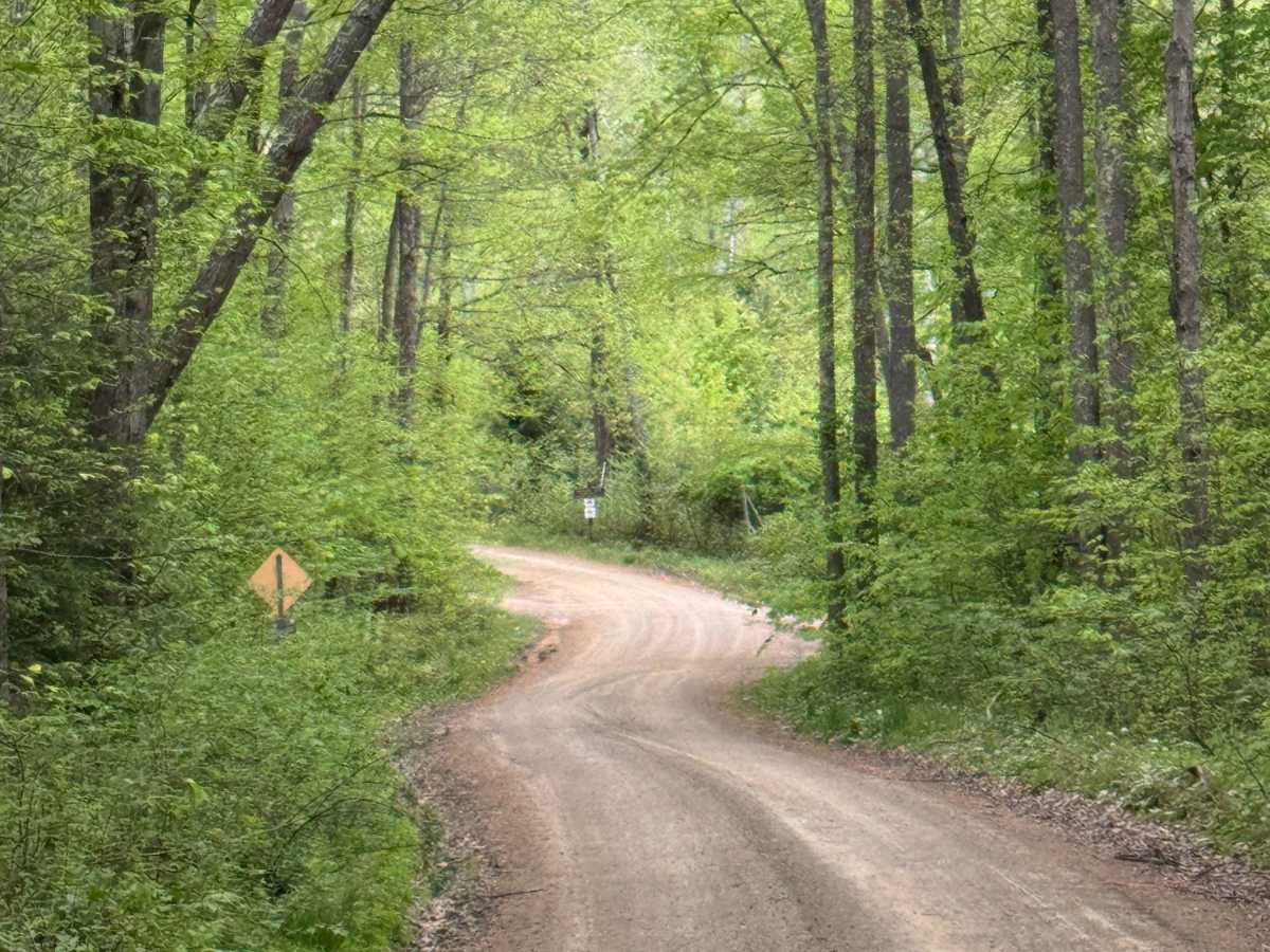 Spring Brook Road photo 5