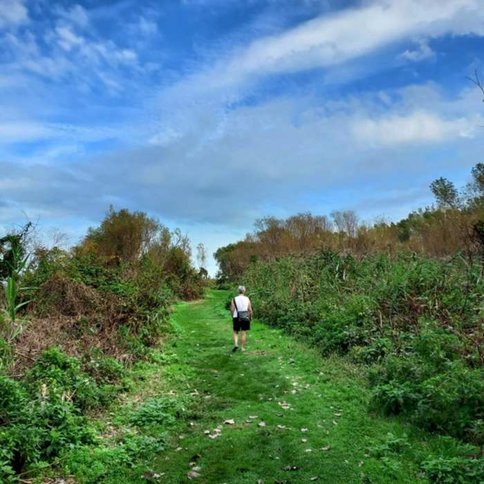 Near Perimeter Loop Trail