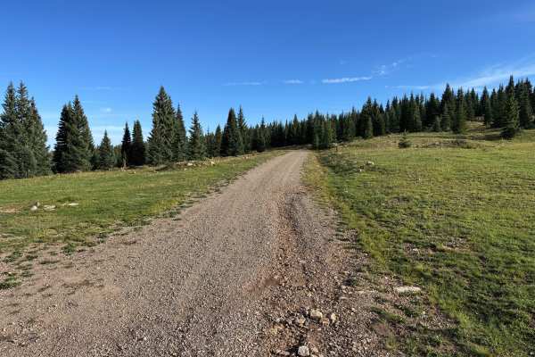 Pothole Road