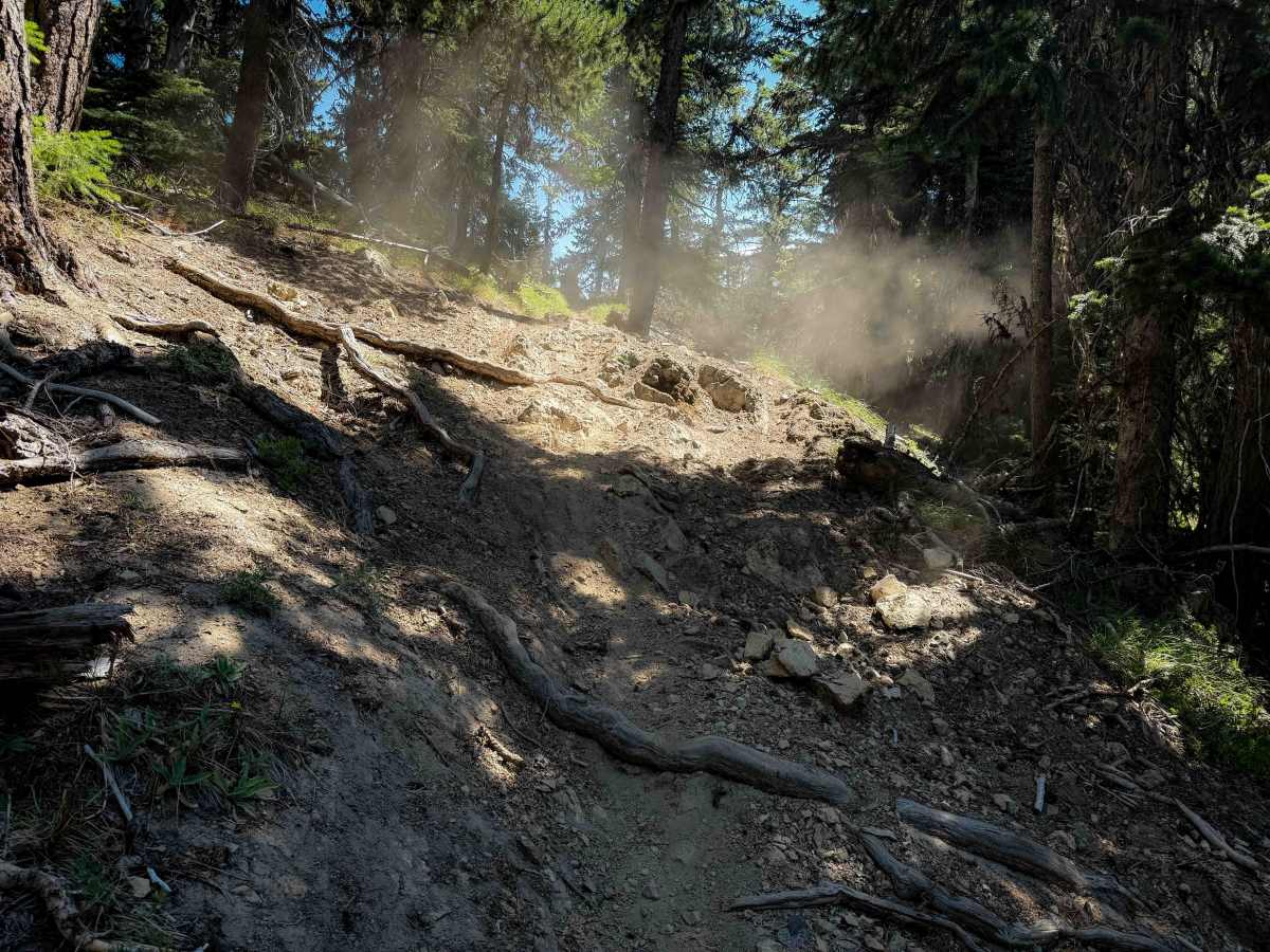 Lightening Point Trail 1377.2  photo 2