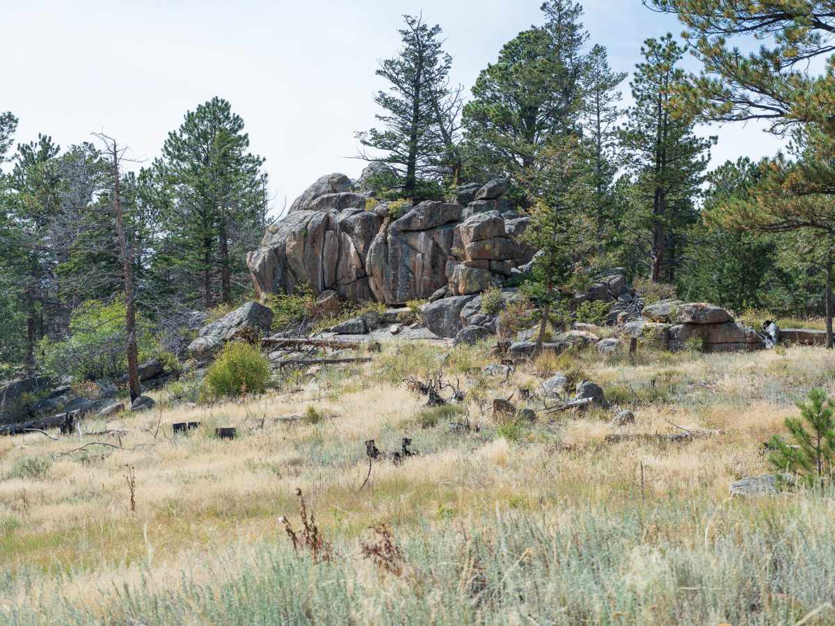 Forest Service Road 181A photo 3