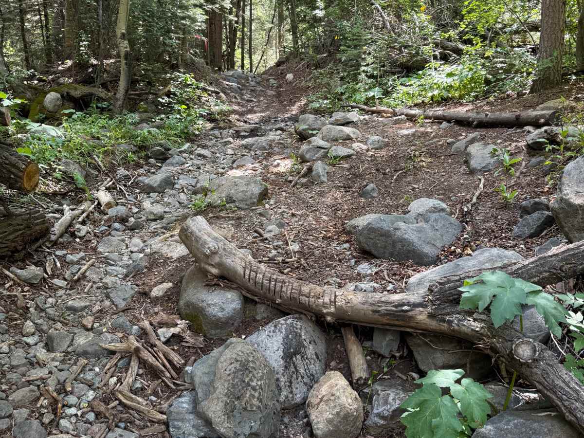 Rainbow Trail photo 6