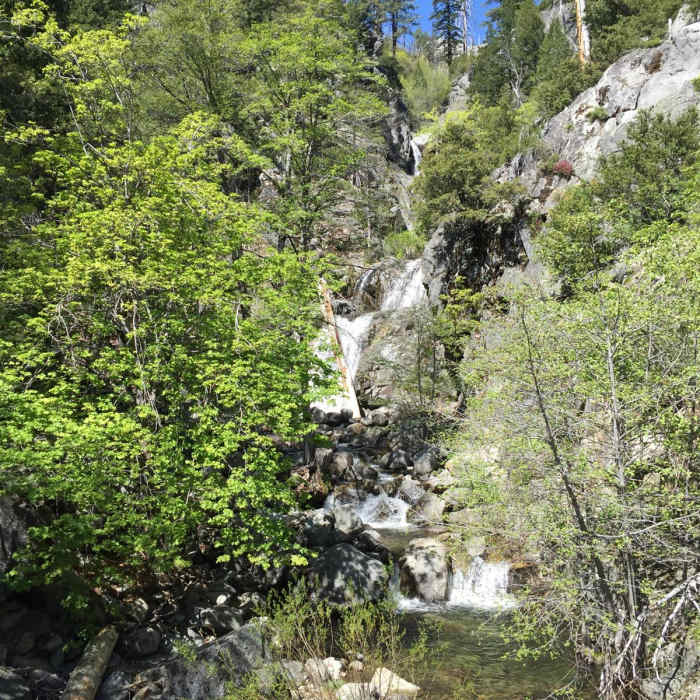 Near Chambers Creek Falls
