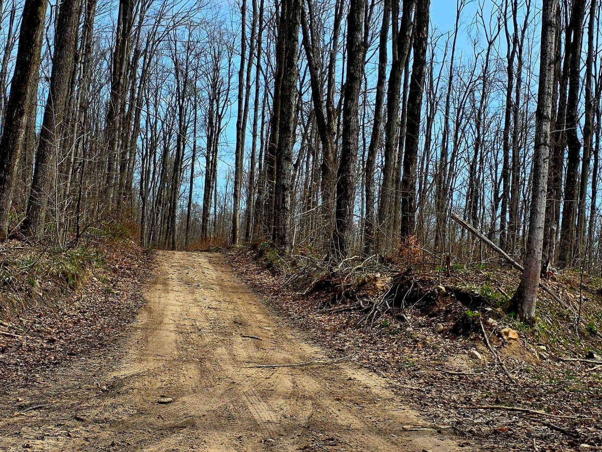 County Line Road trail photo