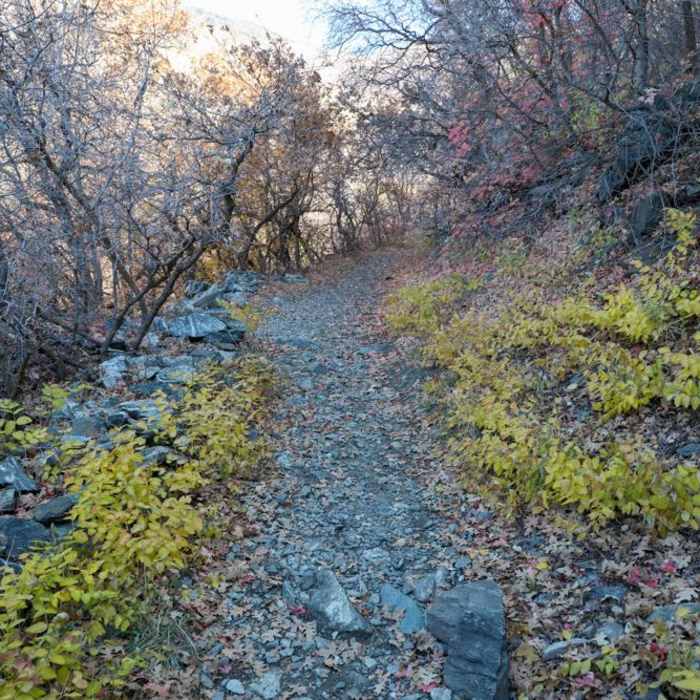 Near Pine Gulch Trail