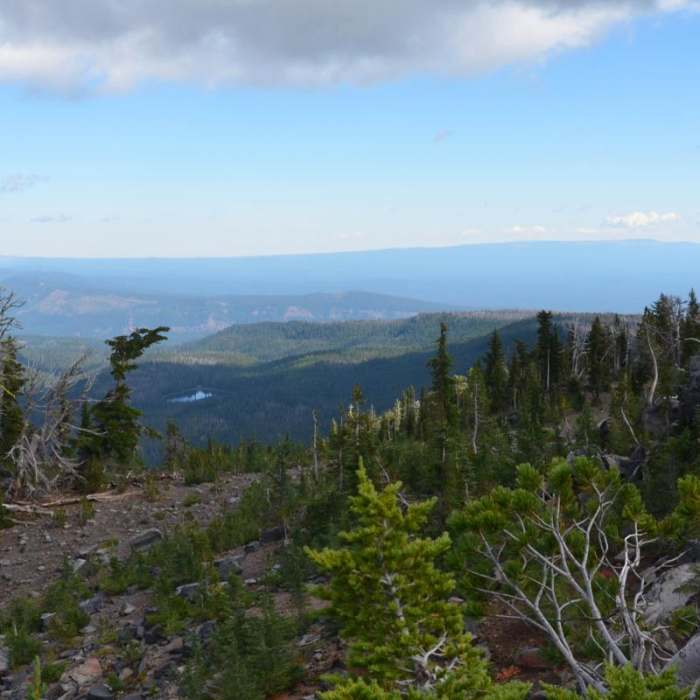Near Bird Creek Meadows