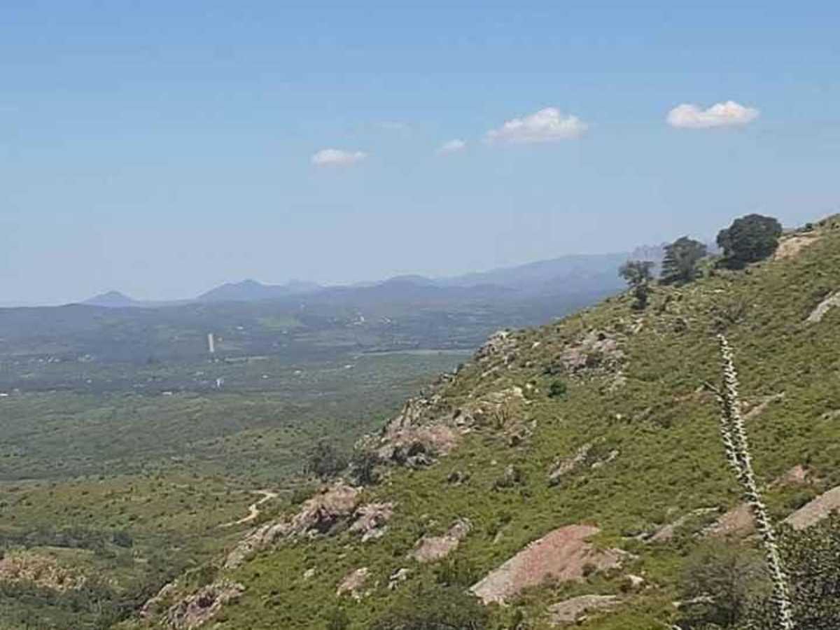 Yellow Jacket Loop photo 3