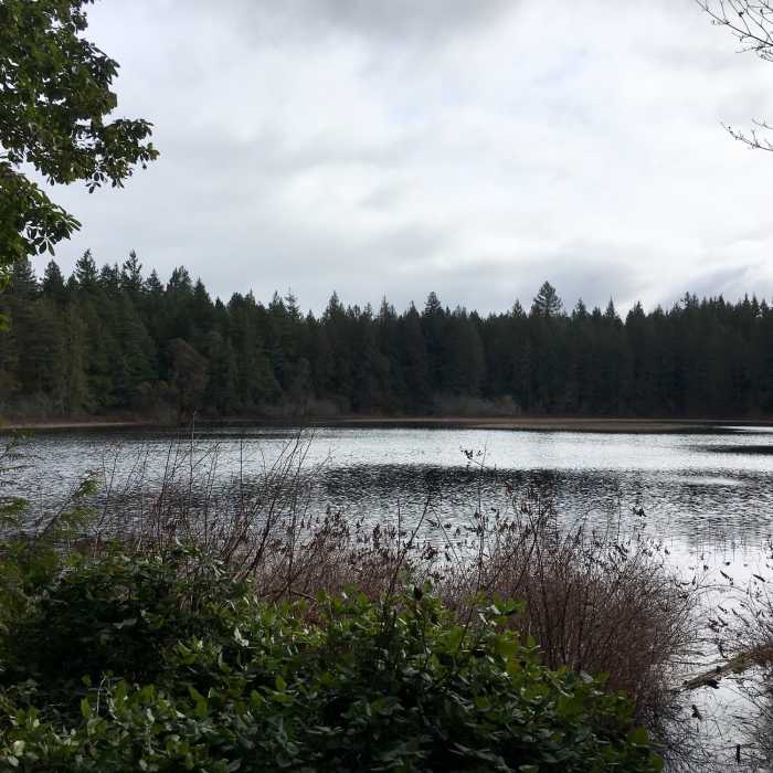 Near Gazzam Main Trail