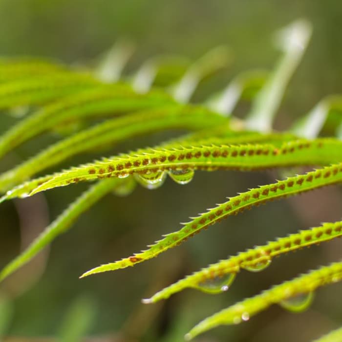 Near Riverside Trail Hike