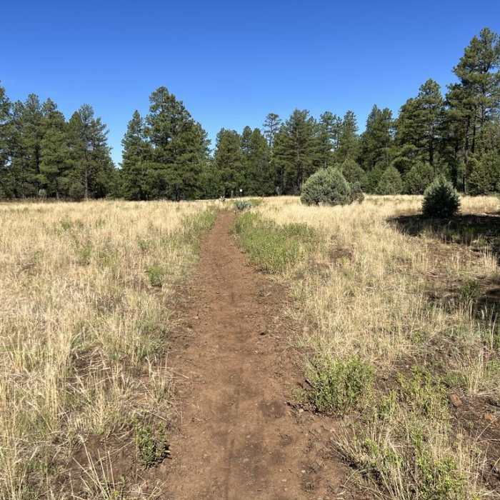 Near Woodland Outerloop Near Woodland Outerloop