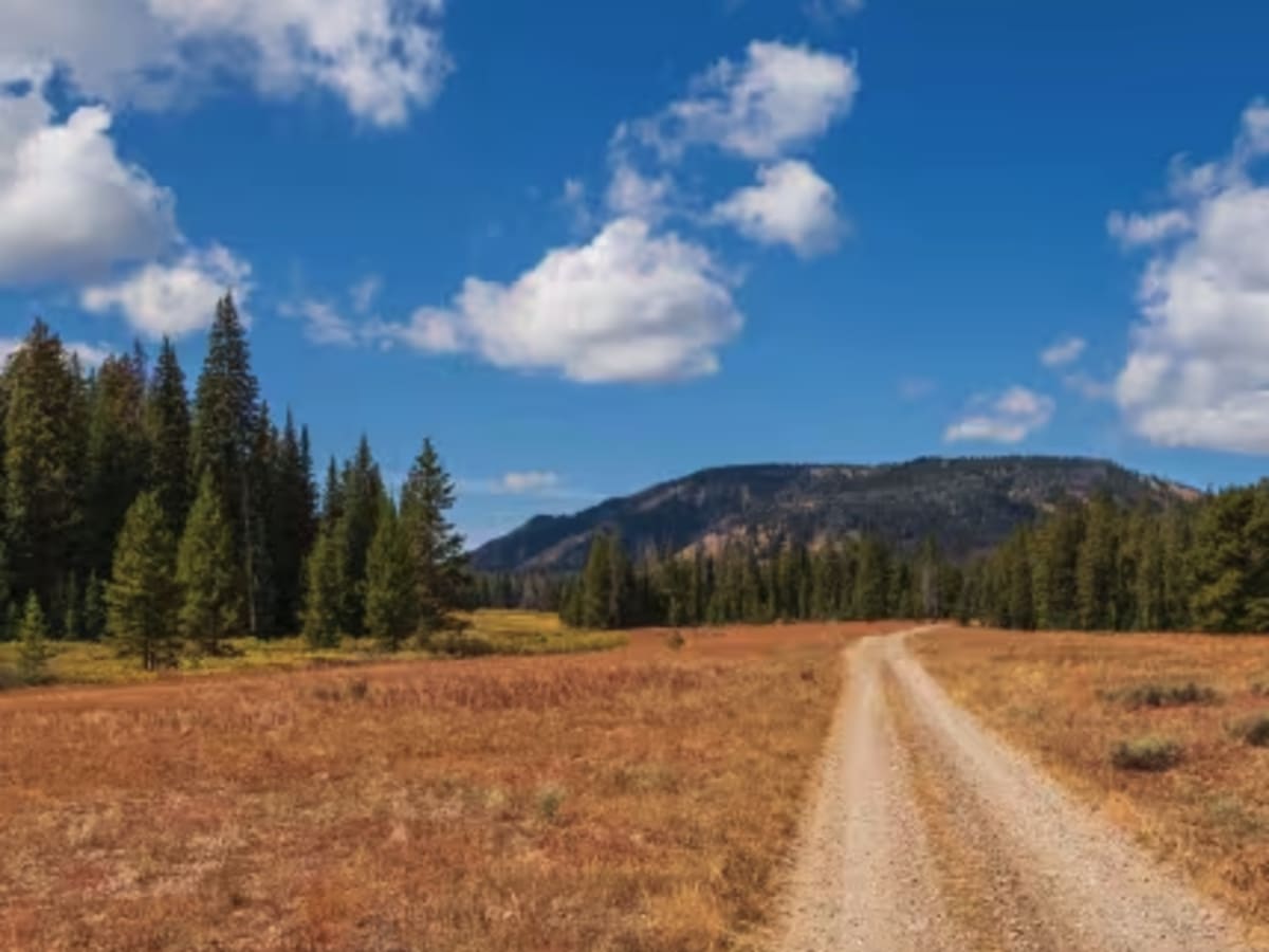 Leidy Lake Road - FS 30250 photo 4