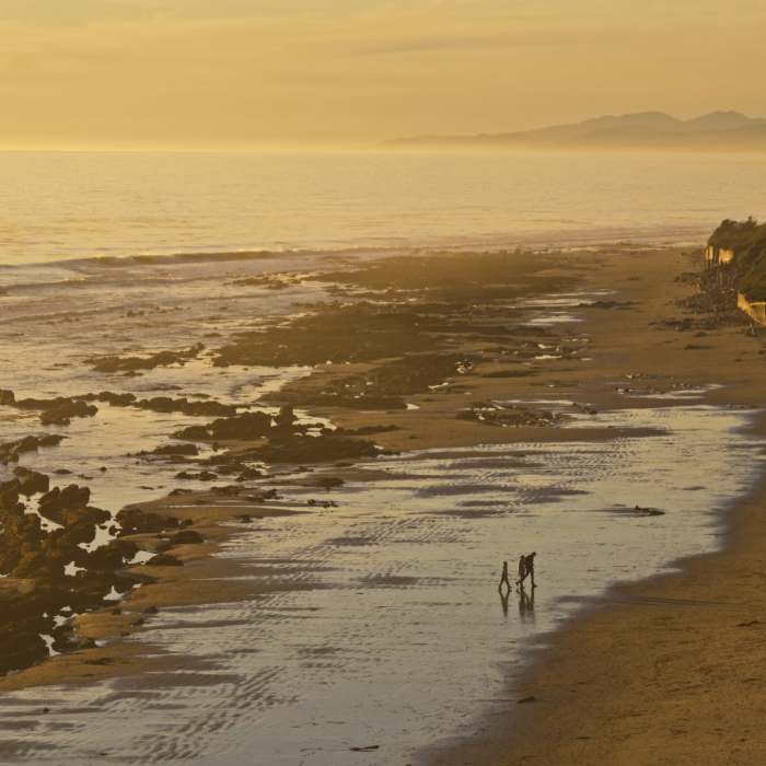 Near Santa Barbara Shores Loop